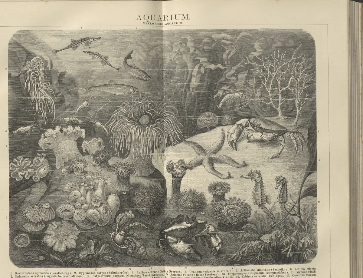 Tafel: Aquarium