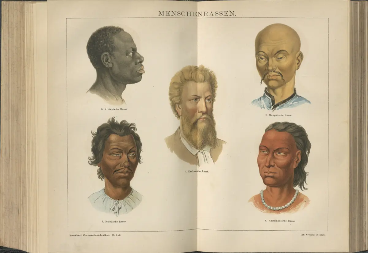 Tafel: Menschenrassen