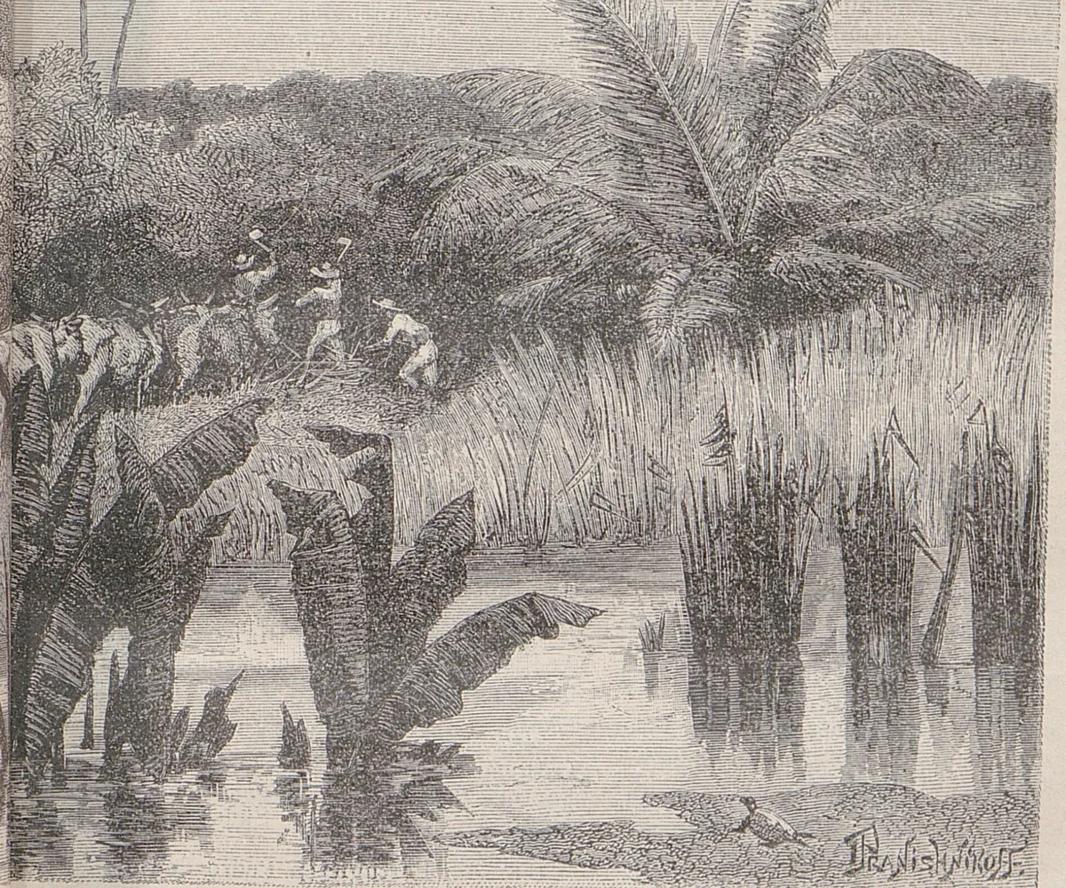 Afrika