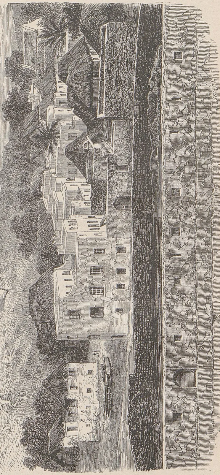 El-Nimr