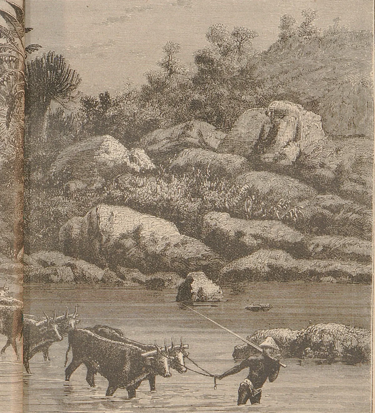 Ogowe