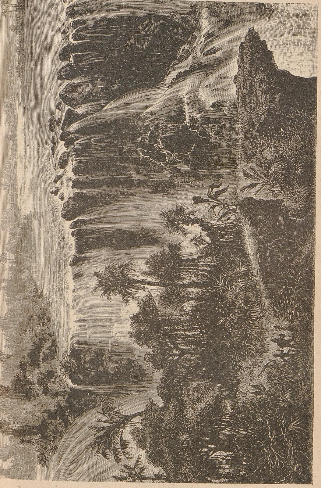 Sahara