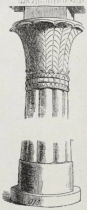 Fig. 98. Aus