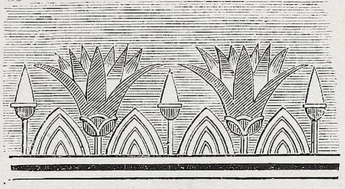Fig. 104. Lotosblume, Knospe und Blatt.
