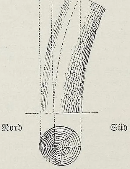 Fig. 480.