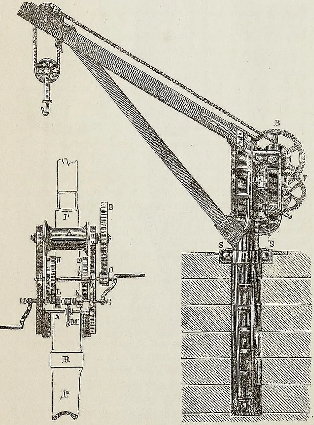 Fig. 2883. Krahn.