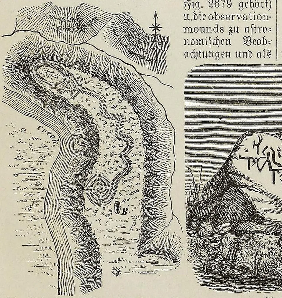 Fig. 2679. Große Schlange (great serpent)
