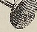 Fig. 2951. geschwindigkeiten beider um⸗