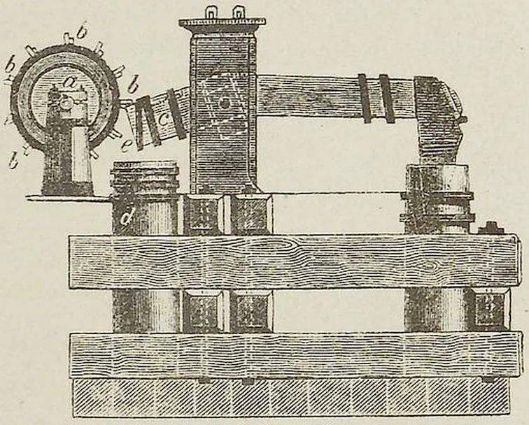Fig. 3147. Schwanzhammer.