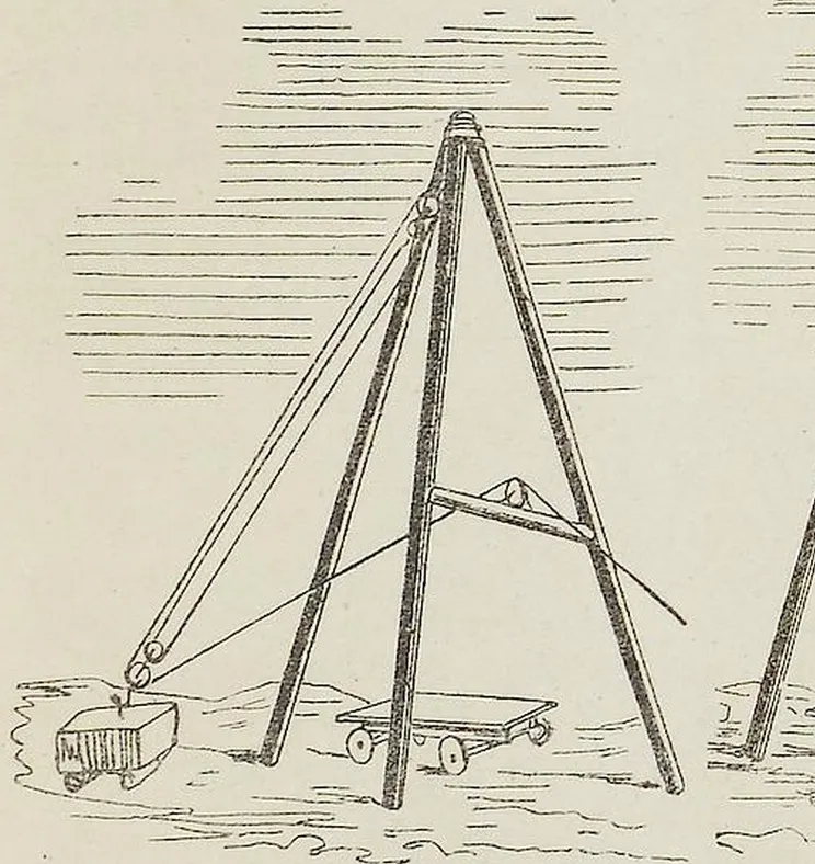 Fig. 3539. Windebock.